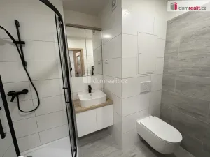 Pronájem bytu 2+kk, Příbram, Prof. Skupy, 48 m2