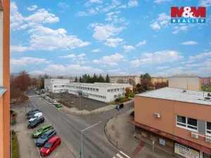 Prodej bytu 3+1, Nová Role, Chodovská, 58 m2