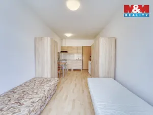 Pronájem bytu 1+kk, Plzeň, Nepomucká, 28 m2