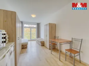 Pronájem bytu 1+kk, Plzeň, Nepomucká, 28 m2