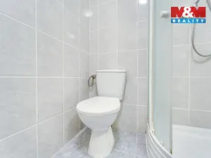 Pronájem bytu 1+kk, Plzeň, Nepomucká, 28 m2