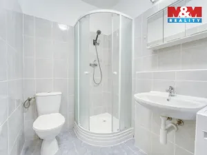 Pronájem bytu 1+kk, Plzeň, Nepomucká, 28 m2
