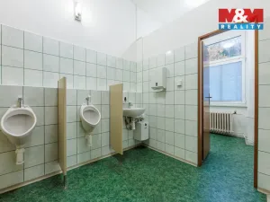 Prodej obchodního prostoru, Nejdek, Karlovarská, 5519 m2