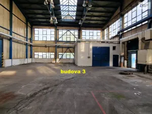 Pronájem výrobních prostor, Příbram - Příbram I, Obecnická, 2200 m2