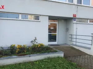 Pronájem bytu 1+kk, Praha - Karlín, Nekvasilova, 29 m2