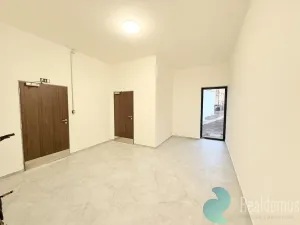 Pronájem bytu 1+kk, České Budějovice, Dobrovodská, 31 m2