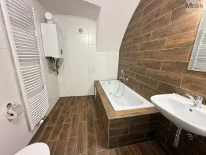 Pronájem bytu 2+kk, Osek, Tovární, 50 m2