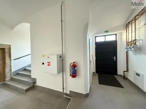 Pronájem bytu 2+kk, Osek, Tovární, 50 m2