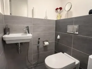 Prodej bytu 2+kk, Praha - Vysočany, Modrého, 53 m2