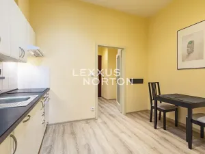 Pronájem bytu 1+1, Praha - Vinohrady, Máchova, 40 m2