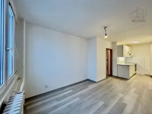 Pronájem bytu 2+kk, Praha - Háje, Anežky Malé, 42 m2