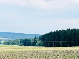 Prodej louky, Herálec, 35197 m2