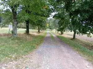 Prodej louky, Herálec, 35197 m2