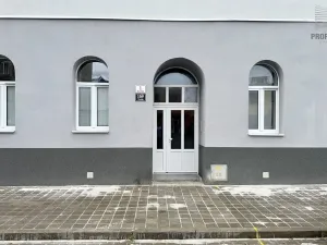 Pronájem bytu 2+kk, Brno, Stavební, 41 m2