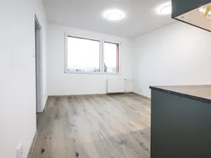 Pronájem bytu 1+1, Písek - Budějovické Předměstí, třída Přátelství, 37 m2