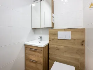 Pronájem bytu 1+1, Písek - Budějovické Předměstí, třída Přátelství, 37 m2