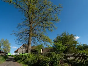 Prodej zemědělské usedlosti, Lipová, 230 m2