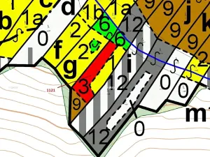 Dražba lesa, Náměšť nad Oslavou, 2998 m2