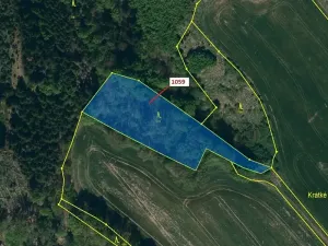 Dražba lesa, Náměšť nad Oslavou, 3646 m2