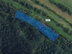 Dražba lesa, Žďárec, 5233 m2