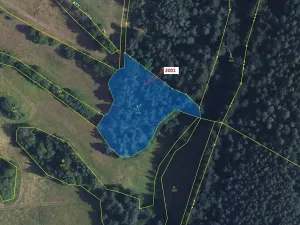 Dražba lesa, Žďárec, 2873 m2