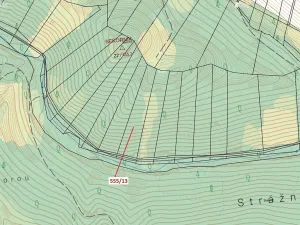 Dražba lesa, Vranová Lhota, 5798 m2
