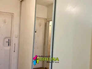 Pronájem bytu 1+kk, České Budějovice, El. Krásnohorské, 30 m2