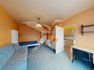 Pronájem bytu 2+1, Plzeň, Karla Steinera, 62 m2