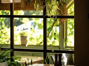 Pronájem restaurace, Protivín - Chvaletice, 320 m2