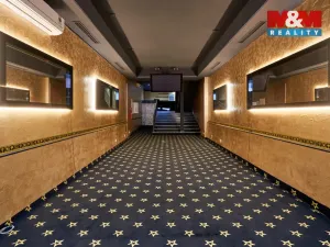 Pronájem obchodního prostoru, Uherský Brod, Moravská, 205 m2