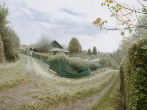 Prodej chaty, Děčín - Děčín VI-Letná, 544 m2