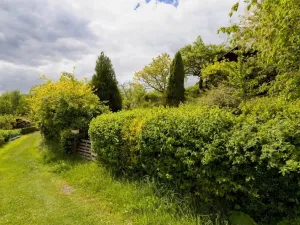 Prodej chaty, Děčín - Děčín VI-Letná, 544 m2