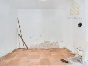 Prodej rodinného domu, Třebenice, Loucká, 75 m2