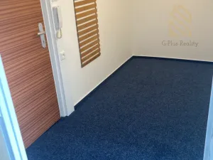 Prodej bytu 1+1, Ústí nad Labem, Stavbařů, 42 m2