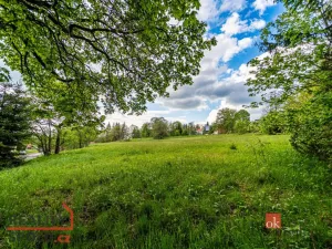 Prodej pozemku pro bydlení, Horní Blatná, Hamerská, 9951 m2