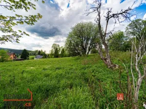 Prodej pozemku pro bydlení, Horní Blatná, Hamerská, 9951 m2