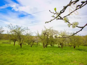 Prodej zahrady, Smolnice, 2370 m2