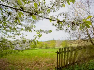 Prodej zahrady, Smolnice, 2370 m2