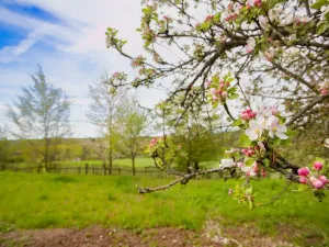 Prodej zahrady, Smolnice, 2370 m2