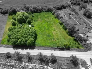 Prodej pozemku pro bydlení, Diváky, 7284 m2