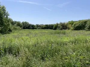 Prodej pozemku pro bydlení, Diváky, 7284 m2