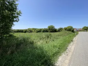 Prodej pozemku pro bydlení, Diváky, 7284 m2