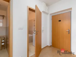 Prodej bytu 2+kk, Plzeň - Severní Předměstí, Valtická, 60 m2