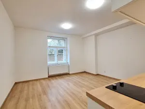 Pronájem bytu 1+kk, Praha - Bubeneč, U zeměpisného ústavu, 26 m2