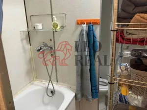 Prodej bytu 1+1, Praha - Krč, Sládkovičova, 42 m2