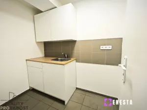 Pronájem skladu, Tursko, 619 m2