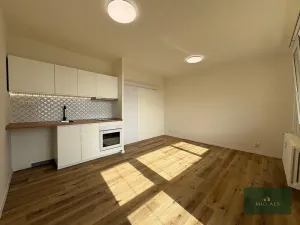 Pronájem bytu 1+kk, Plzeň, alej Svobody, 34 m2