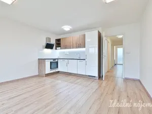 Pronájem bytu 2+kk, Nemojany, 50 m2