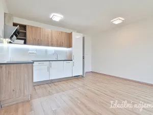 Pronájem bytu 2+kk, Nemojany, 50 m2