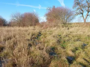 Prodej pozemku pro bydlení, Dřetovice, 1424 m2